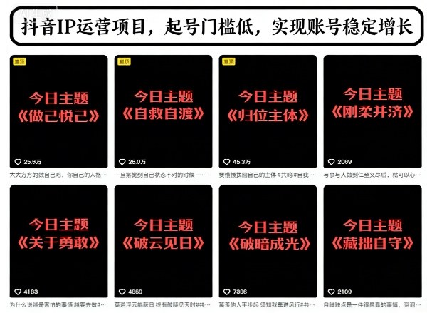 抖音IP运营项目，抖音今日主题玩法，起号门槛低，实现账号稳定增长-第一资源库