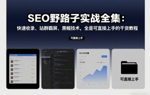 SEO野路子实战全集：快速收录、站群霸屏、黑帽技术，全是可直接上手的干货教程-第一资源库