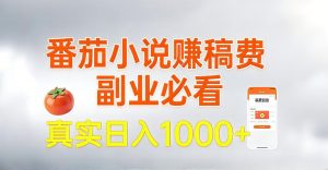 全网独家，番茄小说賺稿费邪修玩法，操作超级简单，单日收益1k+【揭秘】-第一资源库