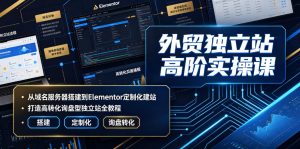 外贸独立站高阶实操课｜从域名服务器搭建到Elementor定制化建站，打造高转化询盘型独立站全教程|淘骐网赚资源库