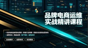品牌电商运维实战精讲课程|吃透电商品牌落地逻辑、穿越行业周期、搭建长效变现运营体系|淘骐网赚资源库