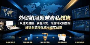 外贸销冠超越者私教班|从能力进阶、获客开发、询盘转化到售后维稳全流程标准化成交实战课|淘骐网赚资源库