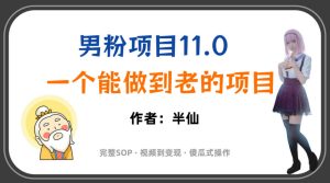 全网独家男粉项目11.0,一个做到老的项目,完整SOP·视频到变现·傻瓜式操作|淘骐网赚资源库