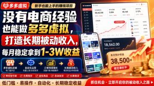 没有电商经验也能做多多虚拟,打造长期被动收入,每月稳定拿到1-3W收益【揭秘】|淘骐网赚资源库