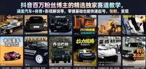 抖音百万粉丝博主的精选独家赛道教学,涵盖汽车+体育+影视解说等,零基础也能快速起号、涨粉、变现(更新0701)|淘骐网赚资源库