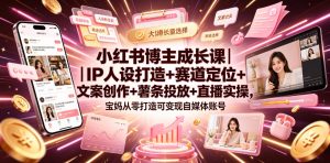 小红书博主成长课|IP人设打造+赛道定位+文案创作+薯条投放+直播实操,宝妈从零打造可变现自媒体账号|淘骐网赚资源库