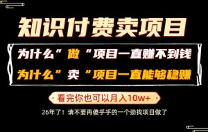 普通人为什么能够靠卖项目轻松月入10W+,而做项目却容易成炮灰,卖项目为什么能够稳賺不赔?【揭秘】|淘骐网赚资源库