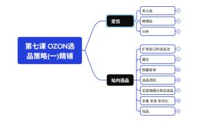2026最新OZON全流程运营实操跨境电商平台教程,OZON全流程一站式系统学习必修课,从开店到跟卖到精铺|淘骐网赚资源库