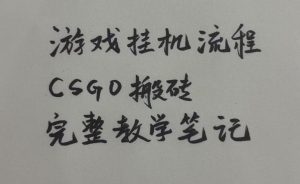 游戏挂G全流程笔记分享，CSGO游戏搬砖，小白看了当天学会见收益【揭秘】|淘骐网赚资源库
