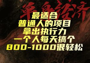 最适合普通人的项目,拿出执行力一个人每天搞个800-1k很轻松【揭秘】|淘骐网赚资源库