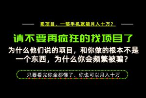 为什么做项目的人大多都是炮灰?为什么只有卖项目才能稳?看完你也可以月入10W+【揭秘】|淘骐网赚资源库