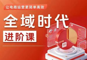 全域时代进阶课,更简单高效的全域投放实操,让电商运营更简单高效(更新0731)|淘骐网赚资源库