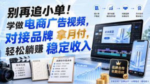 别再追小单!学做电商广告视频,对接品牌拿月付,轻松躺賺稳定收入【原创双语字幕】|淘骐网赚资源库