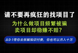 找项目?别傻了!卖项目才是真的一本万利!看完你全都懂了【揭秘】|淘骐网赚资源库