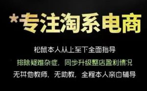 松鼠会电商VIP课程,从基础布局到高阶优化,助你掌握淘宝运营逻辑,提升店铺流量与转化(更新0823)|淘骐网赚资源库