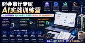 财会审计专属AI实战训练营|AI协同编程+Python审计工具箱+Excel VBA加载项落地(更新0816)|淘骐网赚资源库