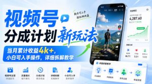 视频号分成计划新玩法，当月累计收益4k+，小白可入手操作，详细拆解教学|淘骐网赚资源库
