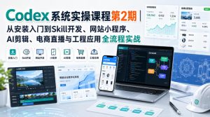 Codex系统实操课程第2期｜从安装入门到Skill开发、网站小程序、AI剪辑、电商直播与工程应用全流程实战|淘骐网赚资源库