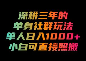 深耕三年的单身社群玩法,单人日入1000+,小白可直接照搬!【揭秘】|淘骐网赚资源库