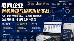 电商企业财务合规与税务优化实战,从行业合规大势切入,系统梳理增值税、企业所得税、个税等全税种要点|淘骐网赚资源库