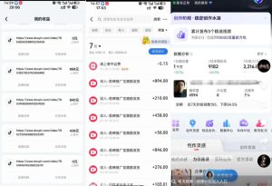 外面卖299的爆款二创配音情感语录教学，一个作品20分钟左右，伙伴计划+剪映拉新+收徒等多种收益|淘骐网赚资源库