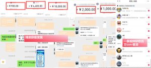 IP+爆款视频训练营,带你用最低成本跑通个人IP从0到1涨粉,从流量到现金的完整闭环|淘骐网赚资源库