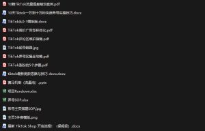 TikTok从0-1实操资料包:养号SOP+爆款公式+投流手册,新手30天可起号变现,抓住TikTok流量红利|淘骐网赚资源库