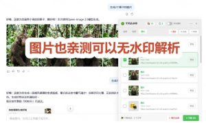太香了!这款千问视频/图片去水印神器,一键搞定烦人水印,本地完全免费,浏览器拓展插件|淘骐网赚资源库