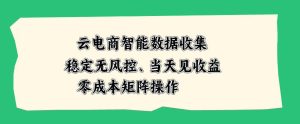 云电商智能数据收集,稳定无风控,当天做当天见收益,零成本矩阵操作【揭秘】|淘骐网赚资源库