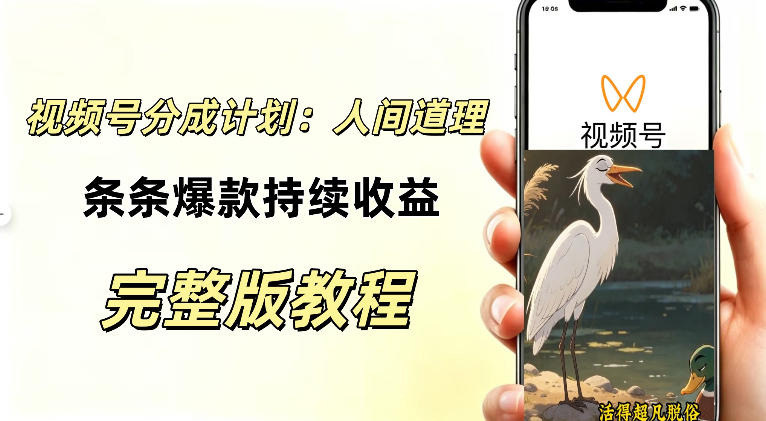 视频号新玩法之AI动漫画风励志视频，不用会画画、不用拍摄，持续化收益，详细拆解|淘骐网赚资源库