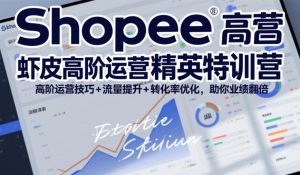 Shopee虾皮高阶运营精英特训营，高阶运营技巧+流量提升+转化率优化，助你业绩翻倍（更新26年9月）|淘骐网赚资源库