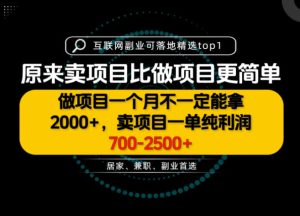 一单利润700-2.5K+,为什么我们要卖项目而不是做项目,我们普通人应该怎样开始?【揭秘】|淘骐网赚资源库