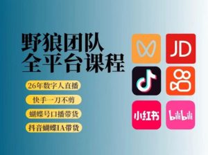 野狼团队2026新版全平台短视频带货教学,打开流量突破口,开始Ai带货(更新0913)|淘骐网赚资源库