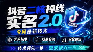 抖音二核掉线十名2.0,9月最新技术,外来技术,效果自测|淘骐网赚资源库