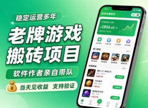 老牌游戏搬砖项目，超稳定可靠，软件作者亲自带队，当天见收益，支持验证【揭秘】|淘骐网赚资源库