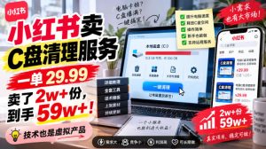 小红书卖C盘清理服务,一单29.99,卖了2w+份,技术也是虚拟产品|淘骐网赚资源库