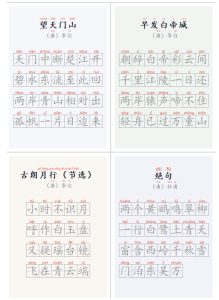 学习神器，汉字拼音字帖生成器，汉字+拼音 一键生成字帖/默写/填空卷，支持词组、成语，老师、家长必备|淘骐网赚资源库
