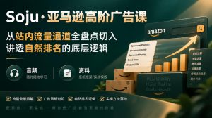 亚马逊高阶广告课，从站内流量通道全盘点切入，讲透自然排名的底层逻辑（直播+音频+资料）|淘骐网赚资源库
