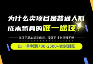 普通人如何靠互联网賺取自己的第一桶金！全类目实操型教学，看完你全都懂了！【揭秘】|淘骐网赚资源库