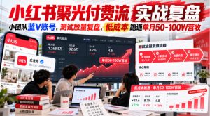 小红书聚光付费流实战复盘|小团队蓝V账号,测试放量复盘,低成本跑通单月50‑100W营收【文档】|淘骐网赚资源库
