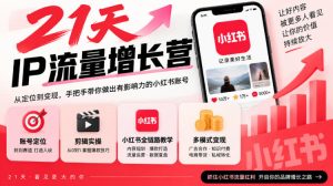 21天IP流量增长营,小红书全链路教学,账号定位剪辑实操,多模式变现系统课|淘骐网赚资源库