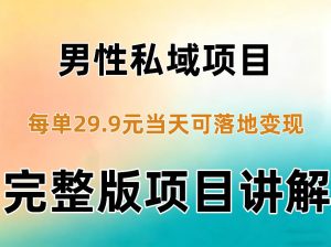 男性私域项目每单29.9，当天就能落地变现【不是S粉项目】详细拆解|淘骐网赚资源库