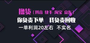 抖音淘宝快手买手项目，一单利润20左右，单号每天下三单，可矩阵【揭秘】|淘骐网赚资源库