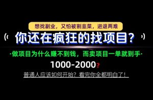 你还在疯狂的找项目?别傻了!卖项目才是真正的一本万利!怎么做,看完你全都明白!【揭秘】|淘骐网赚资源库