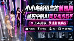 小小鸟颜值监控第四期,监控中的AI美女视频教学,去AI提示,快速起号涨粉,网盘拉新+商K引流+收徒+商单等多种收益|淘骐网赚资源库