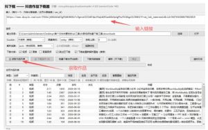 抖音批量视频下载工具,一键下载高清无水印视频,到手就能用|淘骐网赚资源库