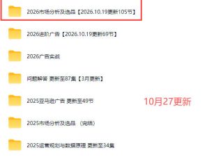 2026亚马逊视频教程,学习我们的商业模式,以及2026最新的选品及运营经验(更新1027)|淘骐网赚资源库