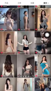 流量密码！AI美女跳舞涨粉教学，新手小白也能快速起号变现|淘骐网赚资源库