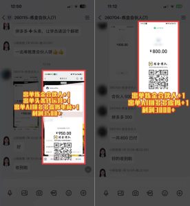 日入3k+的互联网项目，网红的尽头是带货，网创的尽头一定是知识付费卖项目【揭秘】|淘骐网赚资源库