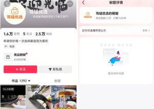 无需实拍也能做好抖音车载带货项目,收益非常稳定,每天坚持发就可以!|淘骐网赚资源库